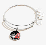 The Wizard of Oz™ Wicked Witch of the East Charm Bangle