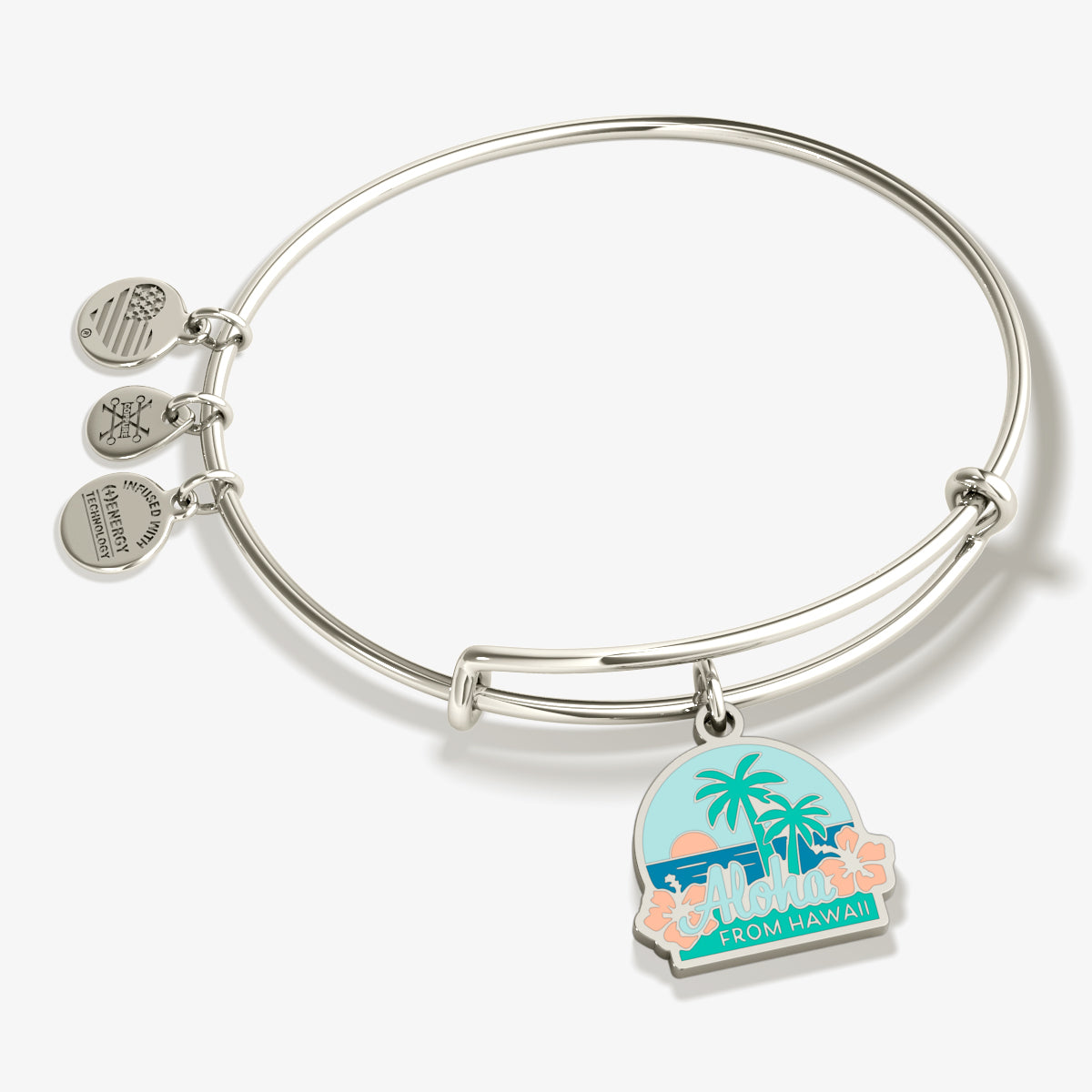 aloha-hawaii-charm-bangle-bracelet-AA641322EWBSS.jpg
