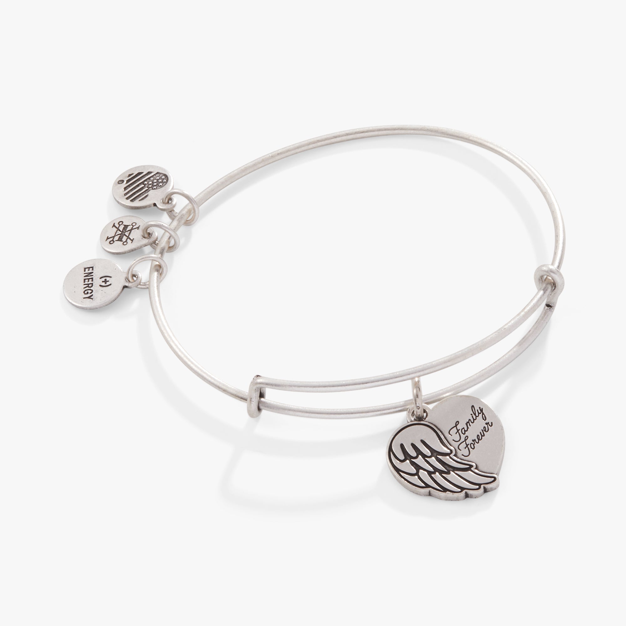 family-forever-angel-wing-heart-charm-bangle-AA700722RS.jpg