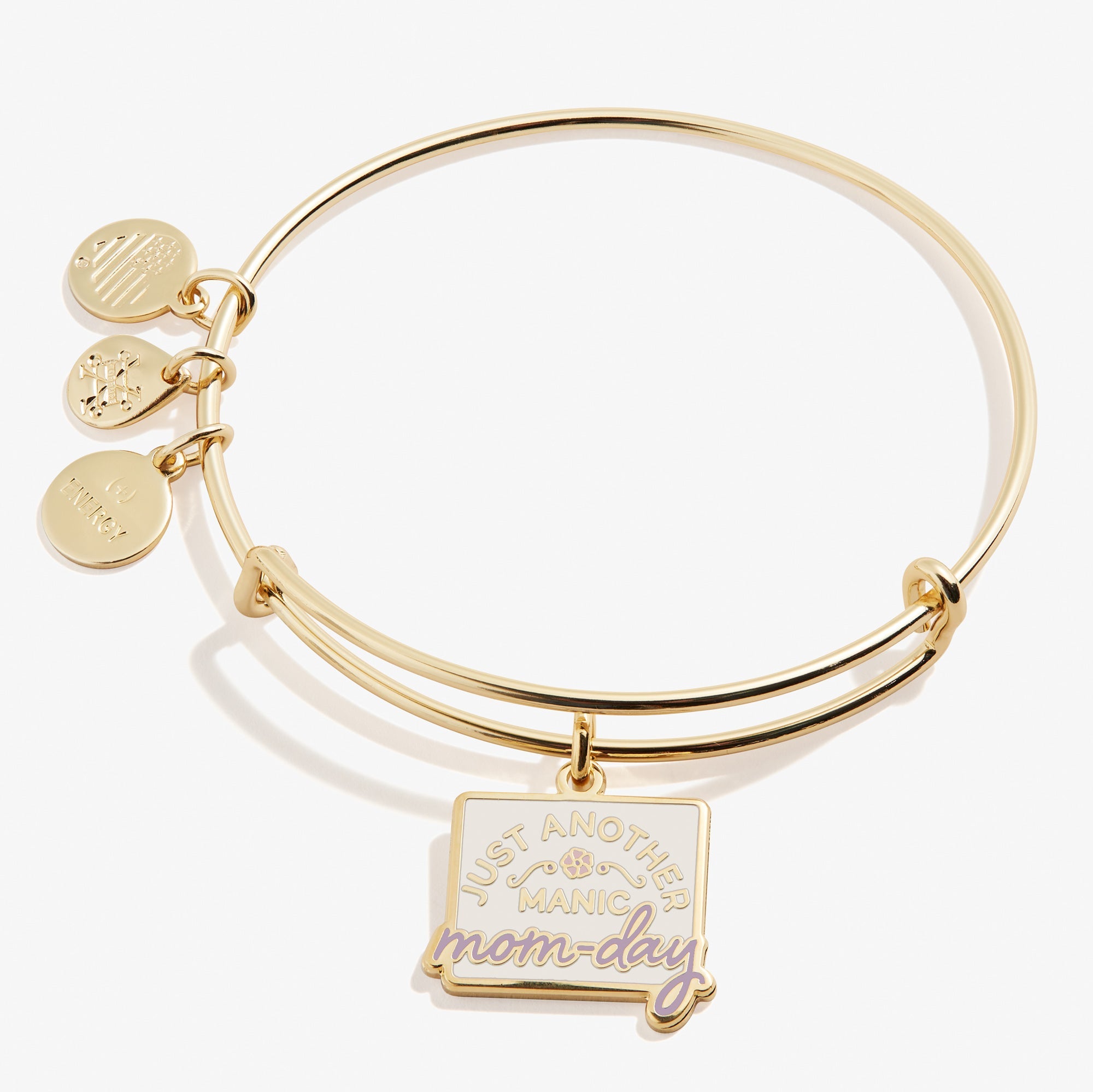 just-another-manic-mom-day-charm-bangle-bracelet-AA618522EBSG.jpg