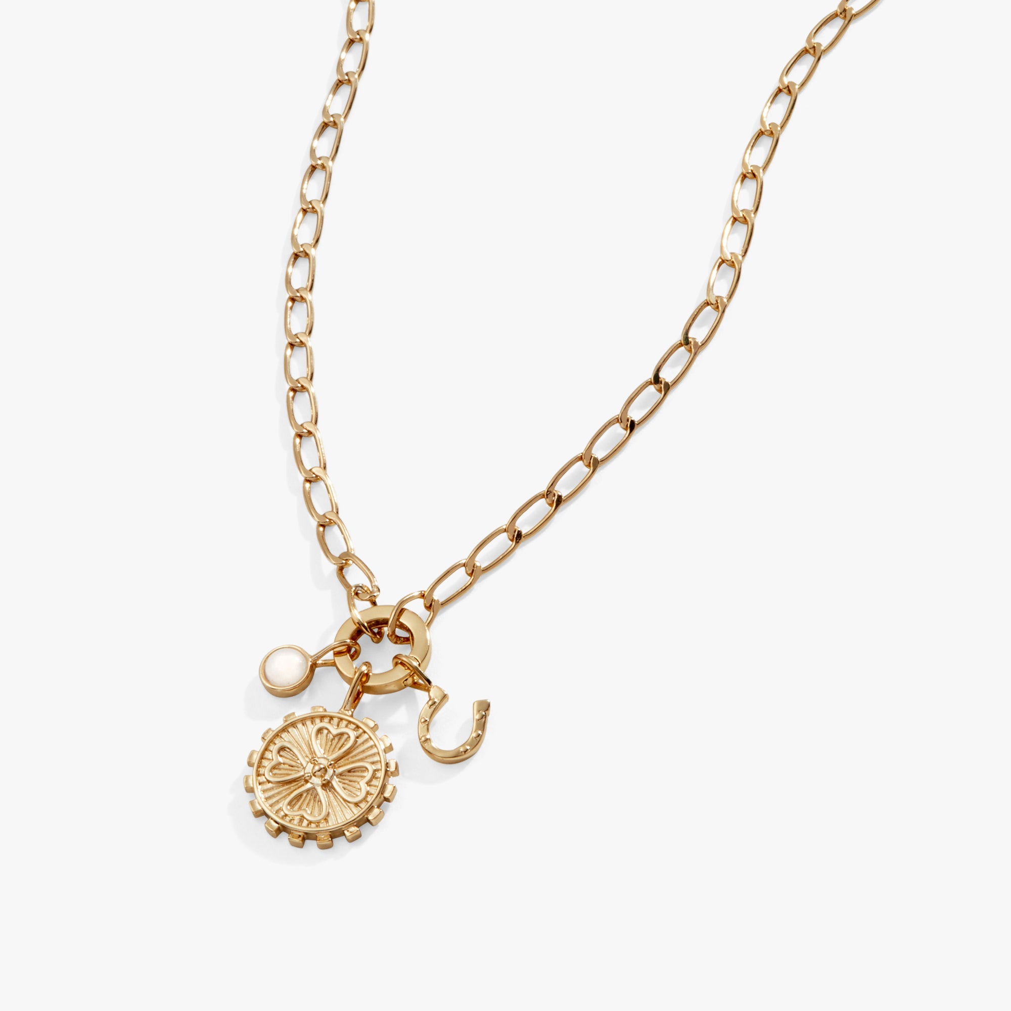 Love + Luck Multi-Charm Interchangeable Necklace